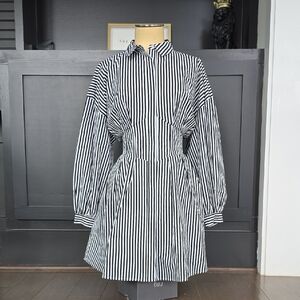 Express Black and White Striped Dress